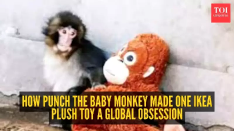 Baby Monkey's Viral Hug with IKEA Toy Sparks Global Plushie Obsession