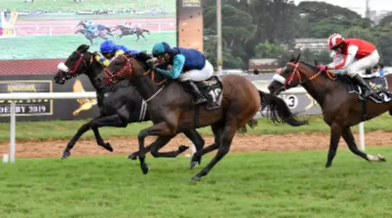 Bangalore Turf Club to Relocate to Kunigal, Old Site to Become Green Space