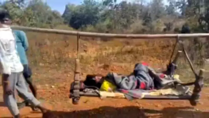 Bastar Tribal Man Carried 10 km on Cot Due to Lack of Road, Ambulance Access