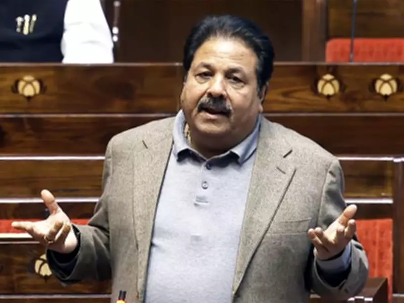 BCCI Vice President Rajeev Shukla Reacts to Australia's T20 World Cup Exit