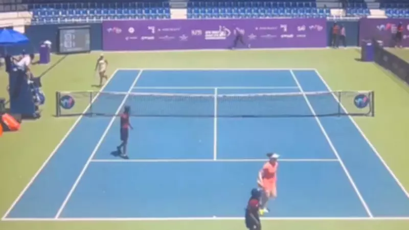 Bee Swarm Halts Bengaluru Tennis Match, Players Flee for Safety