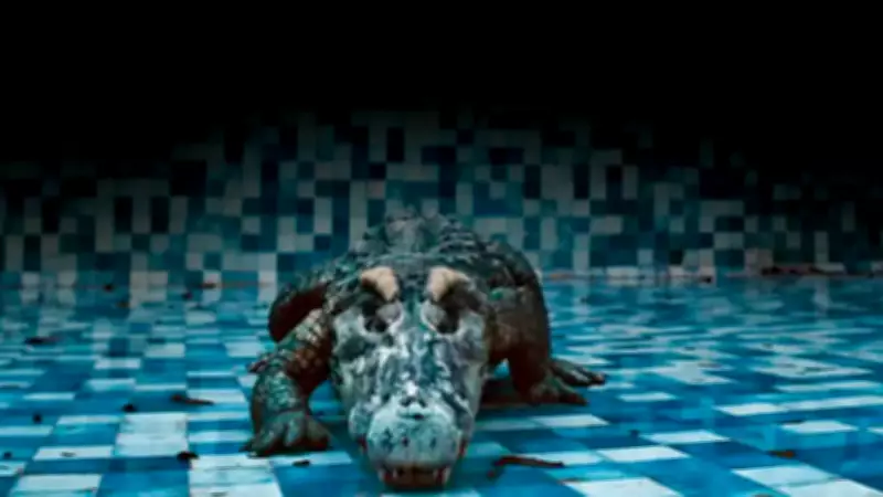 Bejoy Nambiar's Calculated Risk: Filming 'Tu Yaa Main' with Real Crocodile