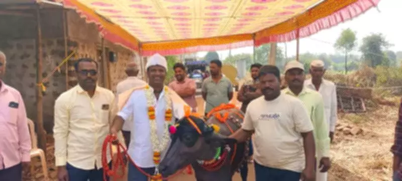 Belagavi Farmer Celebrates Buffalo's First Birthday with Grand Public Event