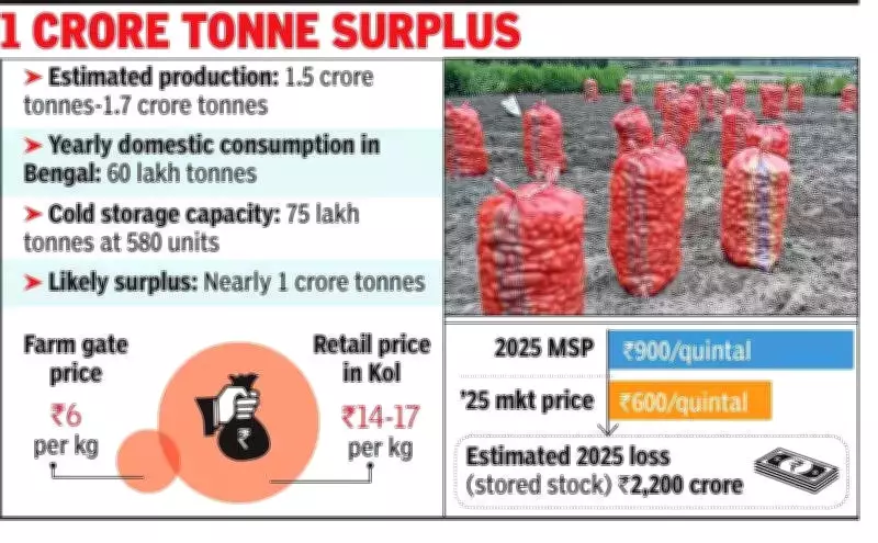 Bengal's Record Potato Harvest Sparks Fears of Distress Sales and Financial Crisis