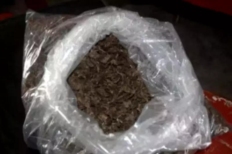 Bengaluru Airport Customs Seize 7kg Hydroponic Ganja in Cookie Packets