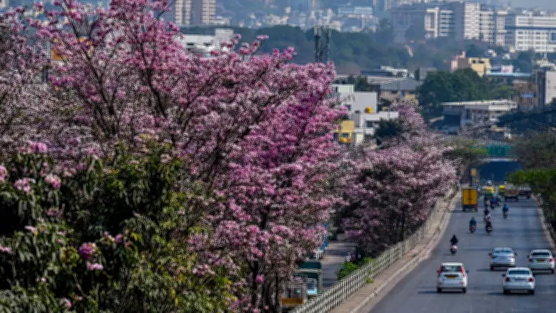 Bengaluru Techies Develop Interactive Map to Track Pink Tabebuia Rosea Blooms