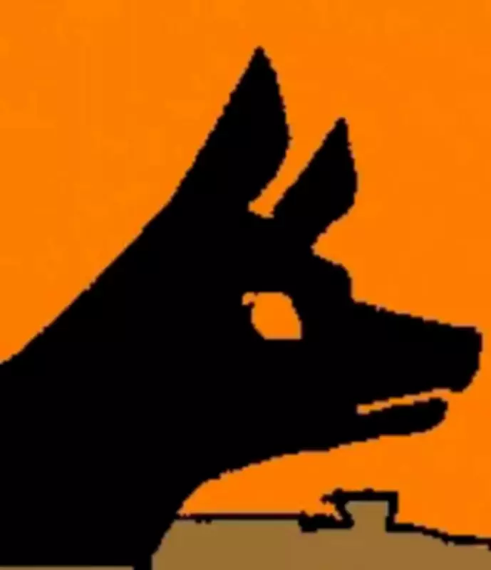 Bengaluru Woman with Autoimmune Disorder Bitten by German Shepherd at Pet Grooming Centre