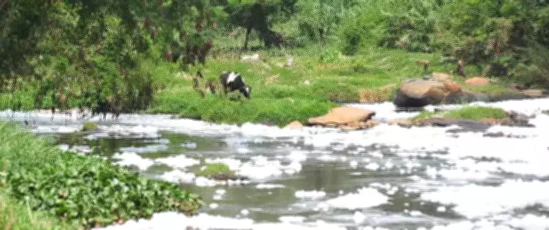 Bengaluru's Rs 156-Crore Arkavathi Riverfront Project Advances with Land Acquisition