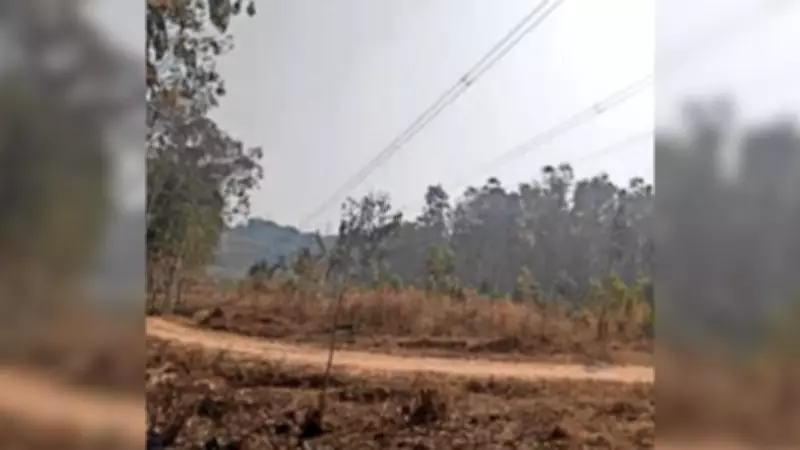 Bengaluru's Tech Corridor Gets Power Boost as Wildlife Board Clears Transmission Line Upgrade