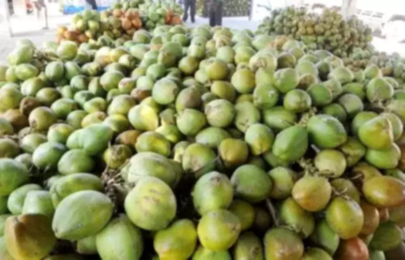 Bengaluru's Tender Coconut Prices Surge Early, Could Hit Rs 70 in Peak Summer