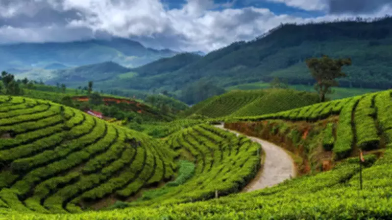 Beyond the Mist: 5 Intriguing Historical Truths of India's Iconic Hill Stations