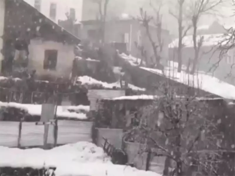 Bhaderwah Valley Hit by Fresh Snowfall, Disrupting Life and Traffic