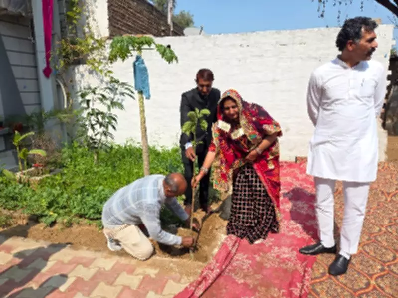 Bhiwani's Unique Bhat Ceremony: Saplings Replace Gold as Prized Gifts