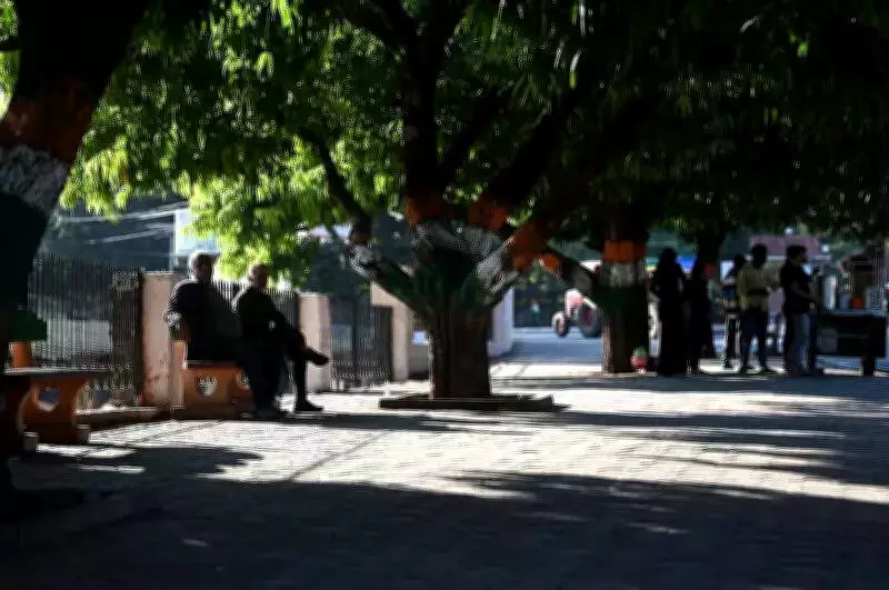 Bhopal Records Rising Night Temperatures, Day Heat Above Normal