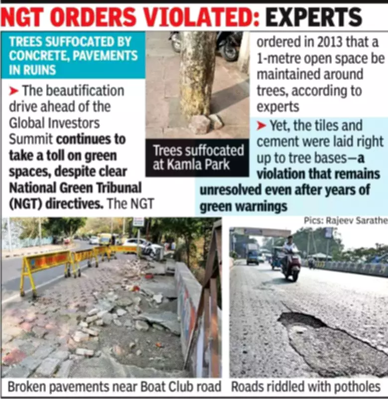 Bhopal's Investor Summit Road Repairs Now Pothole-Ridden, Mayor Admits No Funds Sought