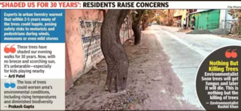 Bhopal's Rs 3 Crore Road Project Endangers Decades-Old Trees Through Cement Encasement