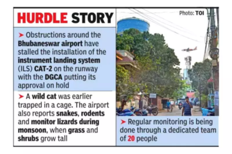 Bhubaneswar Airport Flags Illegal Mobile Towers, Water Tank Violating Safety Norms