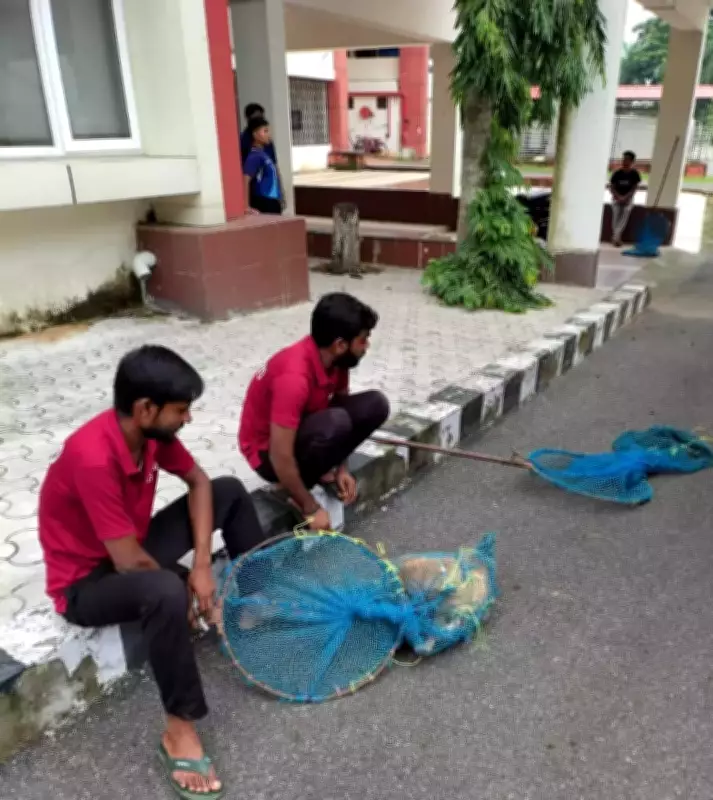 Bhubaneswar Civic Body Identifies 457 Sites for Stray Dog Rehabilitation Drive