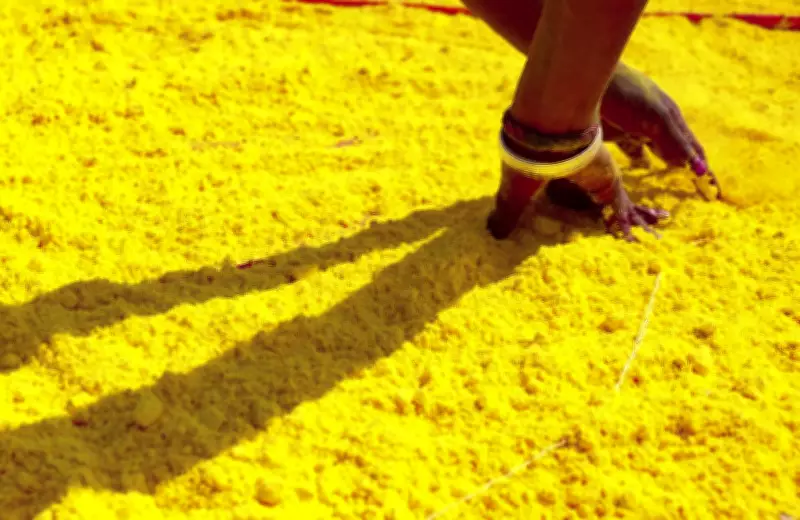 Bihar University's Herbal Holi Gulal Sees Soaring Demand for Eco-Friendly Celebrations