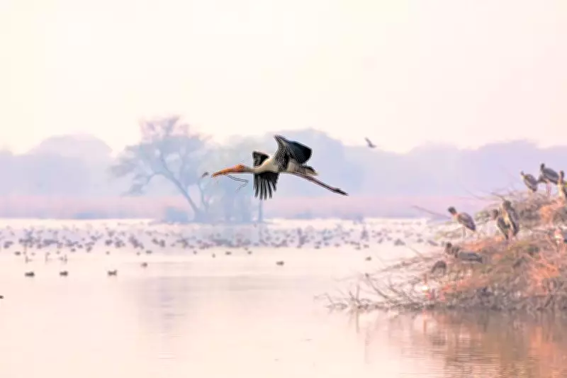 Bihar's Three Wetlands Earn Prestigious Ramsar Recognition on World Wetlands Day