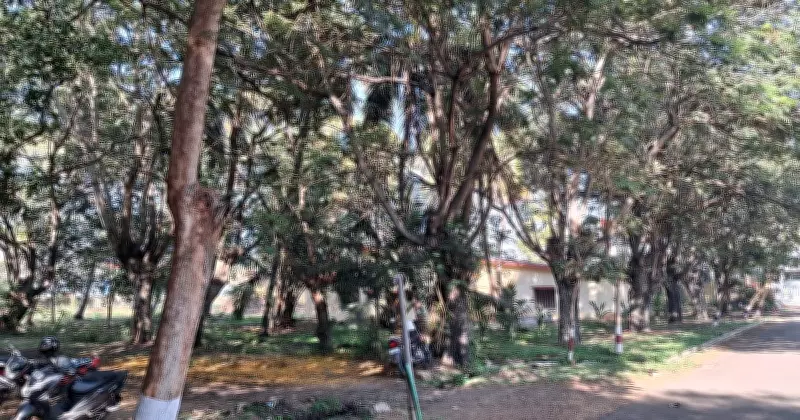 Biodiversity Survey Finds 40 Bird Species, 552 Trees on KSIC Land Slated for Stadium in T Narsipur