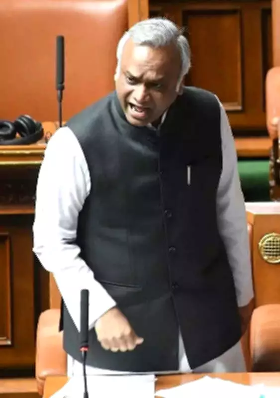 BJP, VHP Slam Karnataka Minister Priyank Kharge Over RSS Remarks