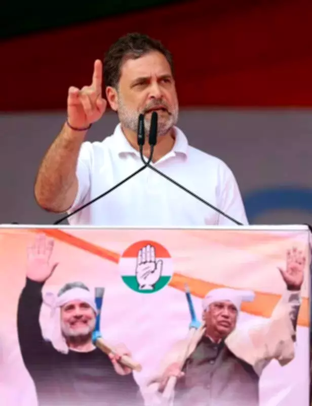 Bombay HC Reserves Order on Rahul Gandhi's Petition Against Defamation Summons