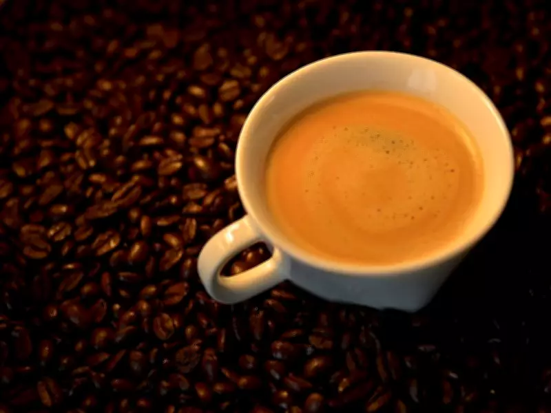 Brazil's Coffee Production Set to Reach Historic Peak in 2026, Says CONAB