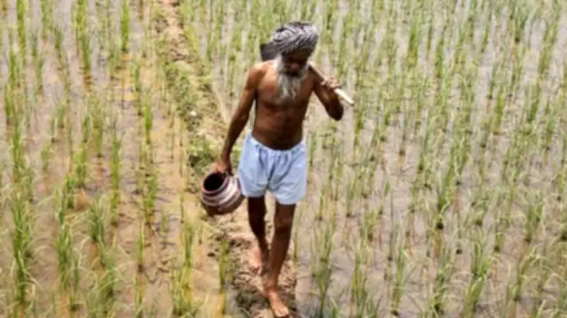 Budget 2026-27 Sidelines Agriculture: Farmers Face Fiscal Neglect Amid Climate Risks