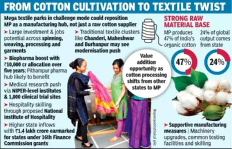 Budget 2026: Mega Textile Parks to Transform MP's Economy and India's Apparel Sector