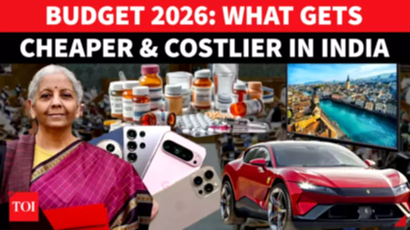 Budget 2026 Price Alert: Full List Of Items That Got Cheaper & What Got Costlier