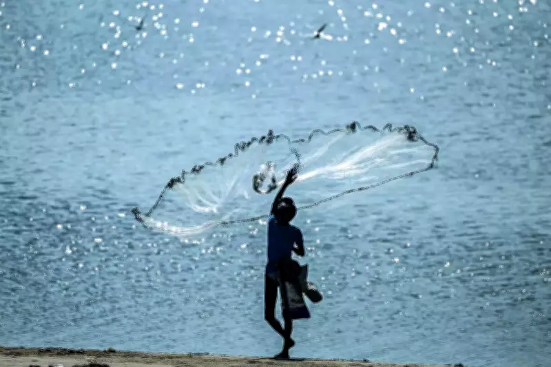 Budget 2026's Political Sweeteners: Coconut, Rare Earths & High-Speed Rail Focus on Poll-Bound States