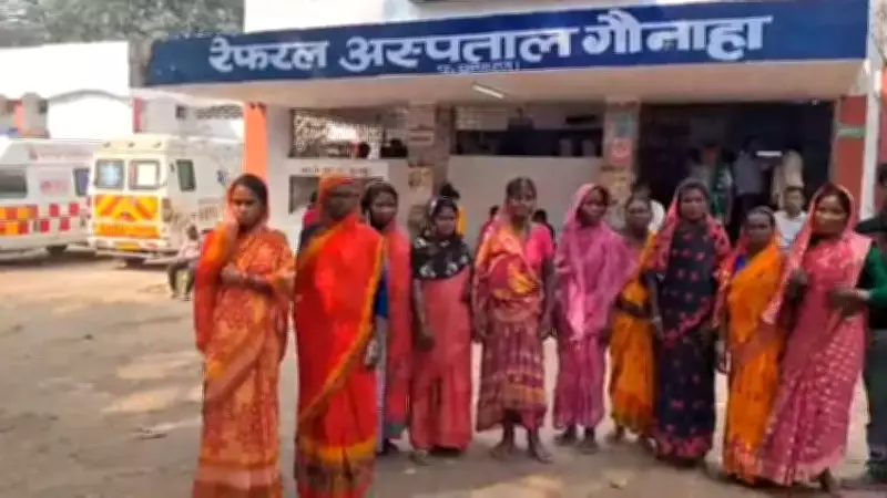 Buffaloes Save Owner from Tiger Attack in West Champaran Village