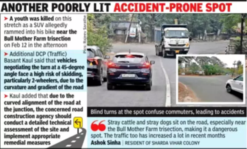 Bull Mother Farm Trisection Emerges as Dangerous Accident Zone in Bhopal