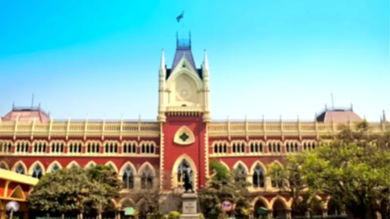 Calcutta HC Reverses Custody Order, Prioritizes Child's Stability Over Parental Education