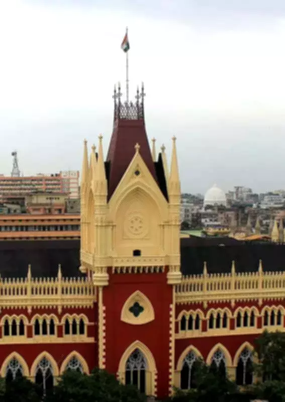 Calcutta High Court Gives 'Last Chance' to State Over Paralyzed Woman's Hospital Transfer