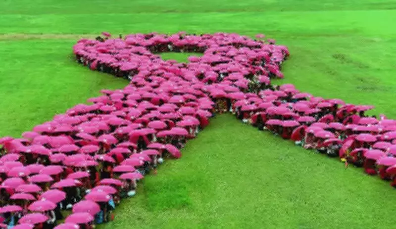 Cancer Claims 31,792 Women in Punjab, Haryana, Himachal: Breast Cancer Leads with 56% Deaths