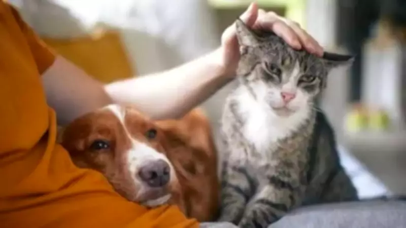 Cat vs Dog Parenting: A Simple Guide to Adapting Your Style as Kids Grow
