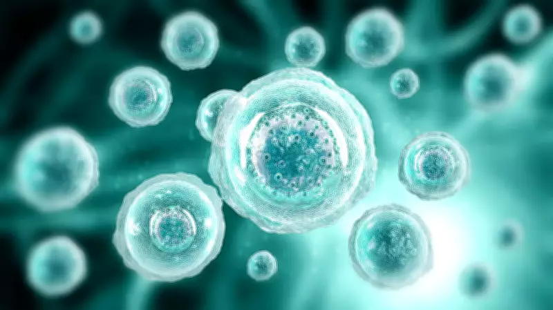 CCMB Scientists Discover Key Metabolic Switch in Fungi Causing Invasive Infections