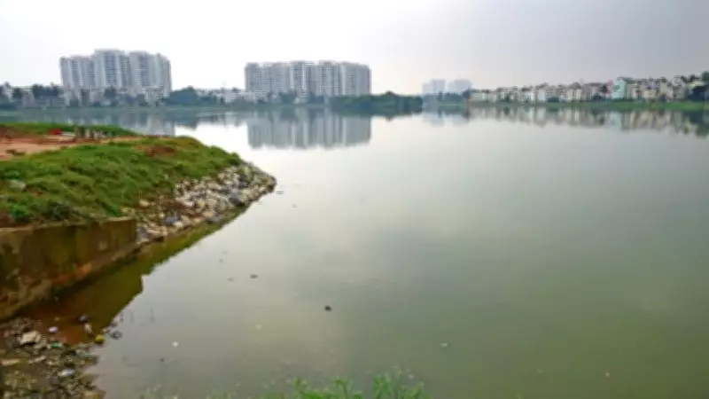 Chandapura Lake Pollution Crisis Persists Through 2025 in Bengaluru