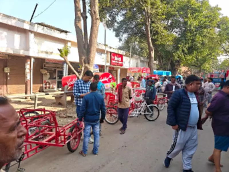 Chandigarh Health Drive: Unauthorised Ice Cream Carts Seized in Sector 20