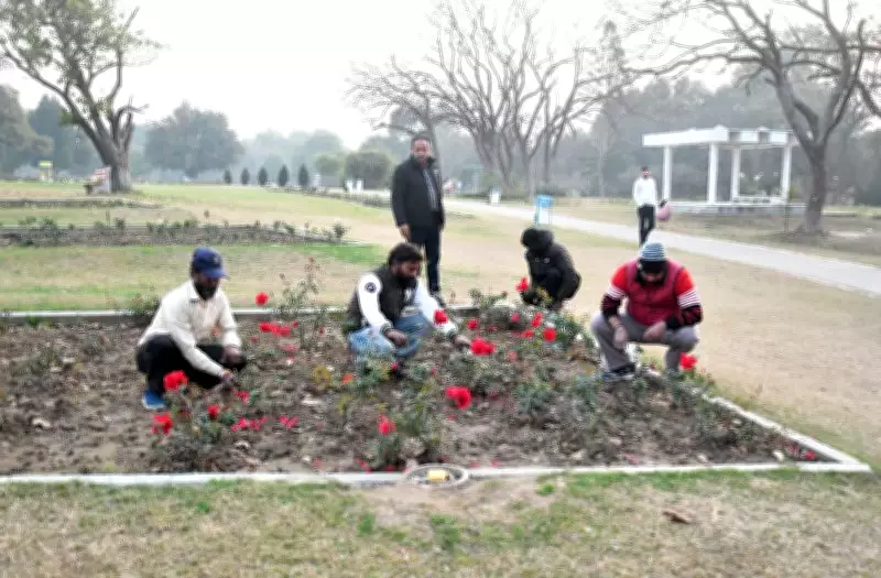 Chandigarh Municipal Corporation Chief Reviews Rose Festival Preparations