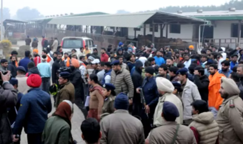 Chandigarh Probe Clears Foul Play in Raipur Kalan Cattle Deaths