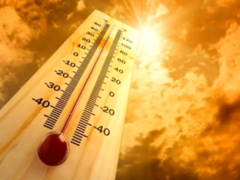 Chandigarh Study Reveals Heatwaves Dramatically Increase Mortality Risk