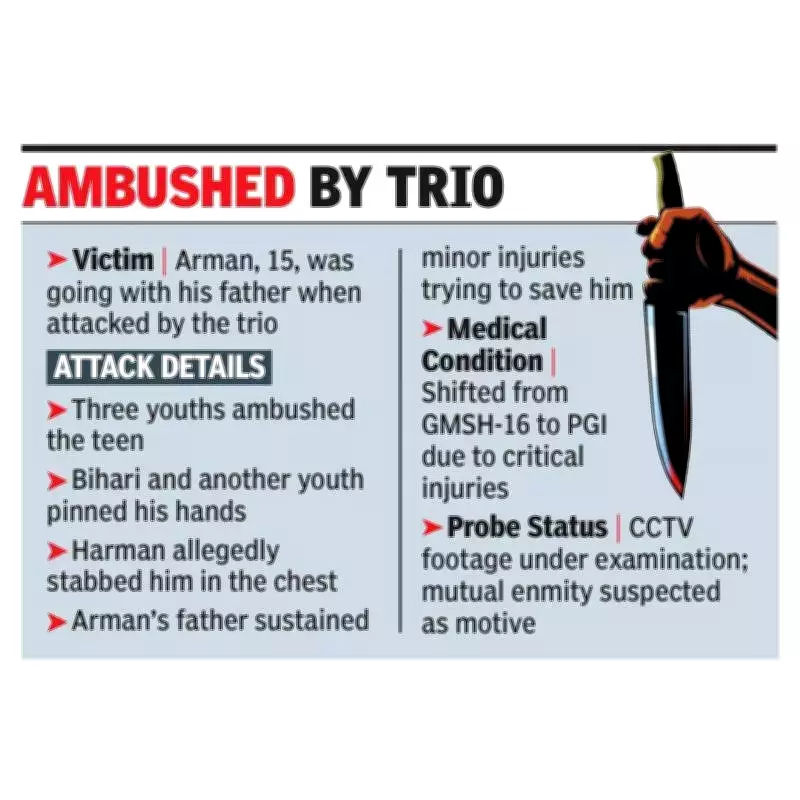 Chandigarh: Teen Critically Injured, Man Stabbed in Separate Night Attacks