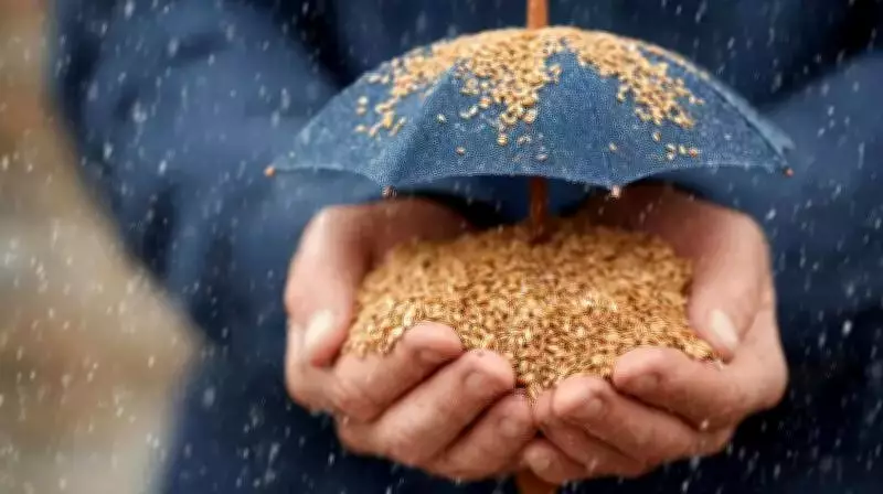 Chandigarh to Pioneer RBI's e-Rupee for Subsidy Distribution in Landmark Pilot