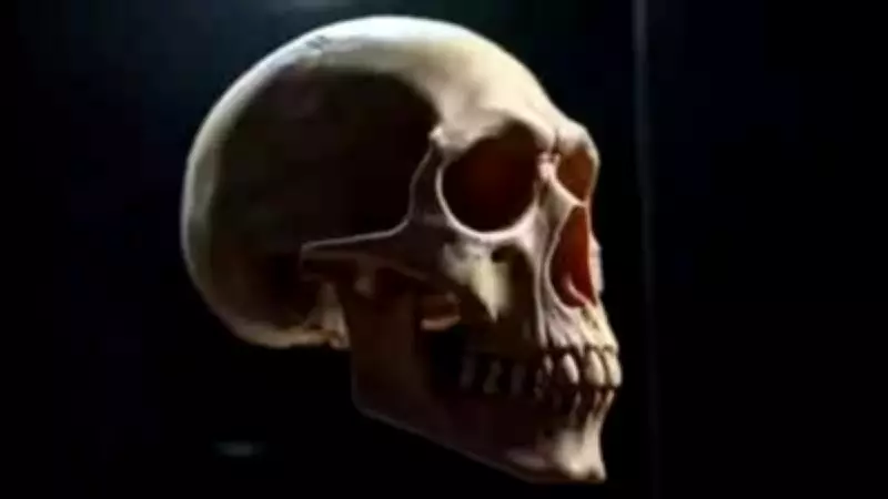 Chennai Hardware Shop Receives Parcel Containing Human Skull and Bones