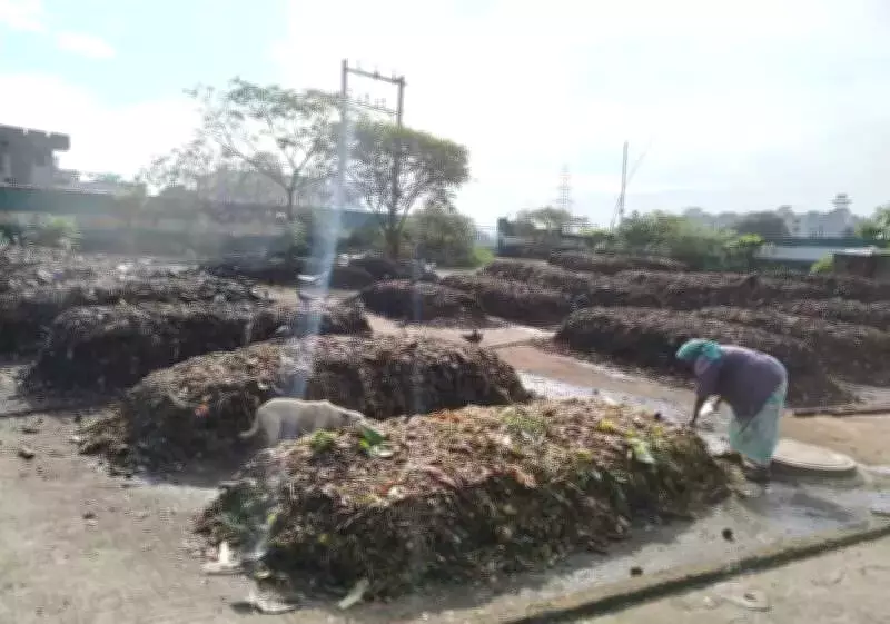 Chennai's Waste Revolution: 3 New Composting Plants to Divert 30% Wet Waste from Landfills