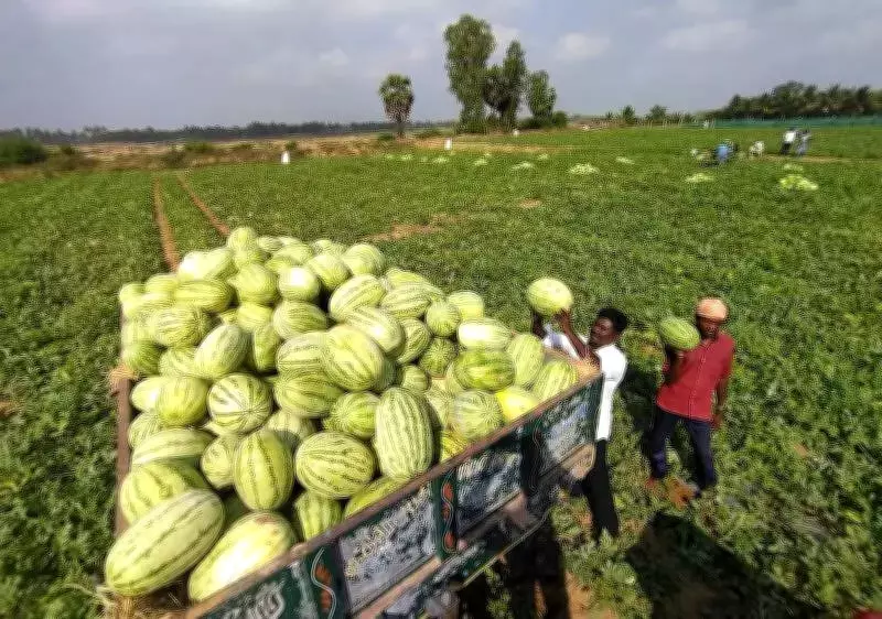 Chennai's Winter Fades: IMD Predicts Warmer Nights, Rising Day Temperatures in February