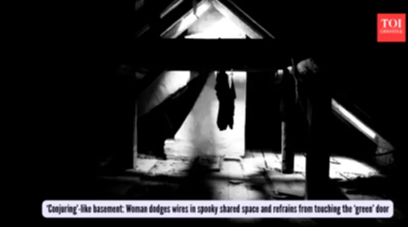 Chicago Woman's Viral Basement Tour Sparks Horror and Laundry Fears